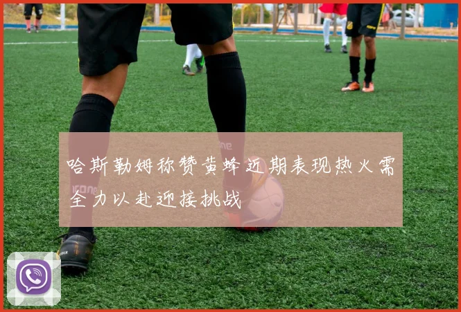 哈斯勒姆称赞黄蜂近期表现热火需全力以赴迎接挑战
