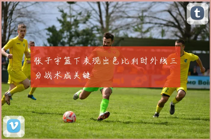 张子宇篮下表现出色比利时外线三分战术成关键