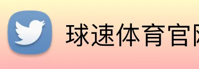 球速体育官网 Logo